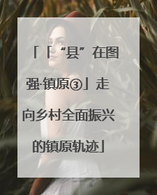 「“县”在图强·镇原③」走向乡村全面振兴的镇原轨迹