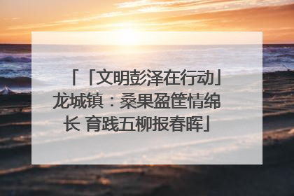 「文明彭泽在行动」龙城镇：桑果盈筐情绵长 育践五柳报春晖