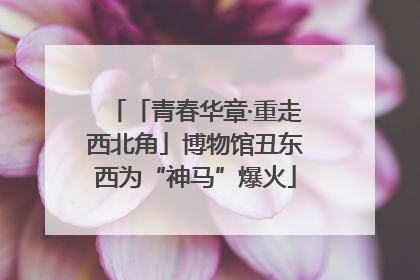 「青春华章·重走西北角」博物馆丑东西为“神马”爆火