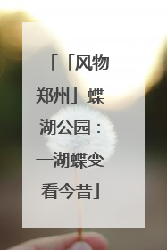 「风物郑州」蝶湖公园：一湖蝶变看今昔