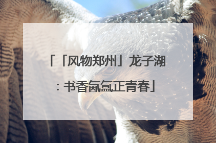 「风物郑州」龙子湖：书香氤氲正青春