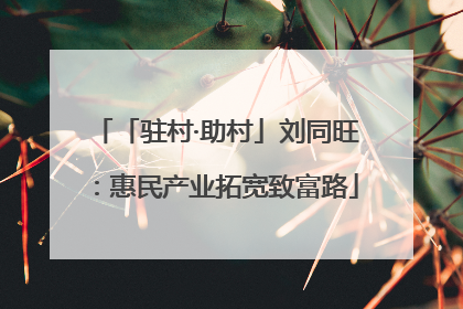 「驻村·助村」刘同旺：惠民产业拓宽致富路