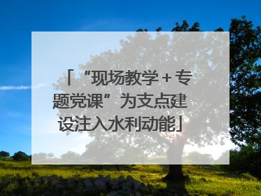 “现场教学＋专题党课”为支点建设注入水利动能