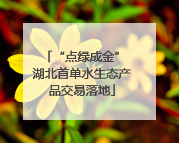 “点绿成金” 湖北首单水生态产品交易落地