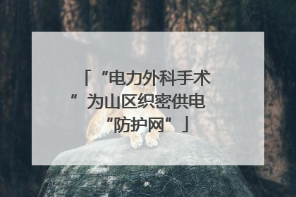 “电力外科手术”为山区织密供电“防护网”
