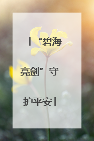 “碧海亮剑”守护平安