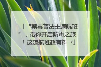 “禁毒普法主题航班”，带你开启防毒之旅！这趟航班超有料→