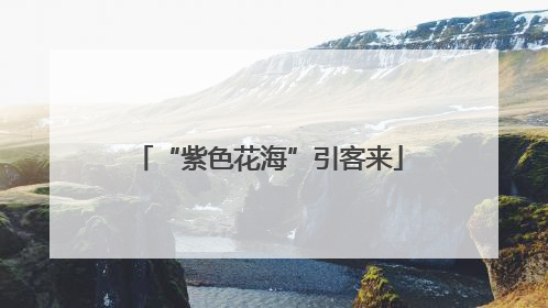 “紫色花海”引客来
