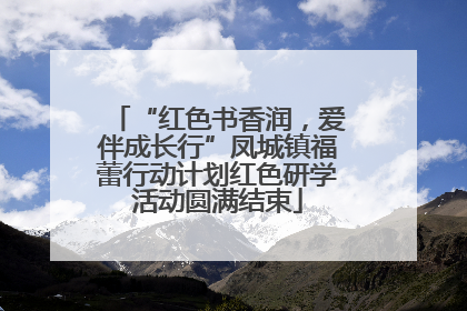 “红色书香润，爱伴成长行”凤城镇福蕾行动计划红色研学活动圆满结束