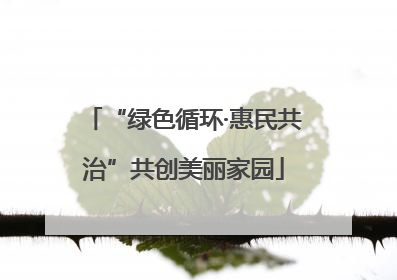“绿色循环·惠民共治”共创美丽家园