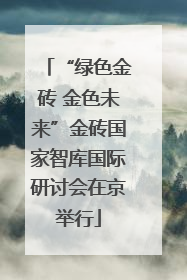 “绿色金砖 金色未来”金砖国家智库国际研讨会在京举行