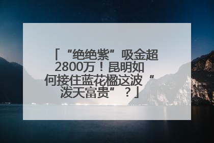 “绝绝紫”吸金超2800万！昆明如何接住蓝花楹这波“泼天富贵”？