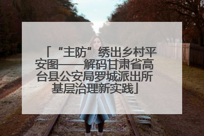 “主防”绣出乡村平安图——解码甘肃省高台县公安局罗城派出所基层治理新实践