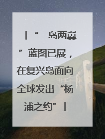 “一岛两翼”蓝图已展，在复兴岛面向全球发出“杨浦之约”