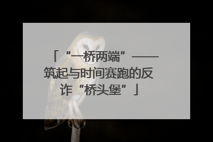 “一桥两端”——筑起与时间赛跑的反诈“桥头堡”