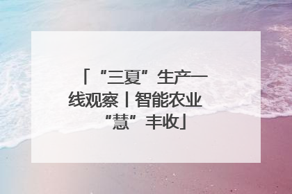 “三夏”生产一线观察丨智能农业“慧”丰收