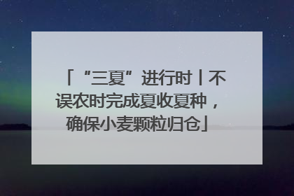 “三夏”进行时丨不误农时完成夏收夏种，确保小麦颗粒归仓