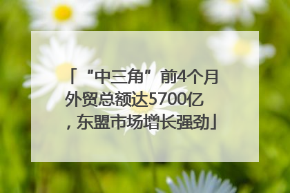 “中三角”前4个月外贸总额达5700亿，东盟市场增长强劲