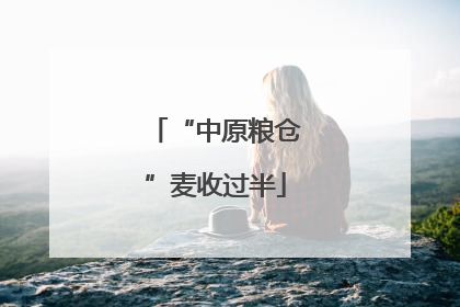 “中原粮仓”麦收过半