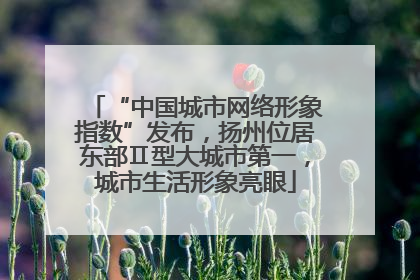 “中国城市网络形象指数”发布，扬州位居东部Ⅱ型大城市第一，城市生活形象亮眼