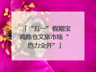 “五一”假期宝鸡陈仓文旅市场“热力全开”