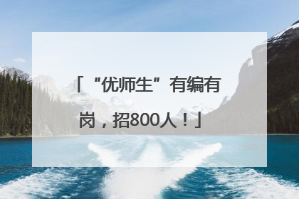 “优师生”有编有岗，招800人！