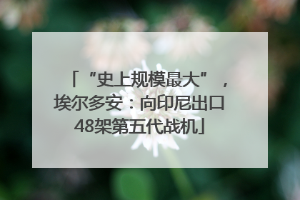 “史上规模最大”，埃尔多安：向印尼出口48架第五代战机