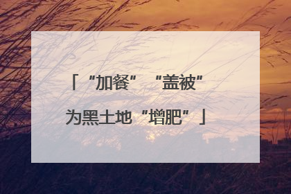 “加餐”“盖被” 为黑土地“增肥”