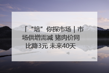 “培”你探市场｜市场供增需减 猪肉价同比降3元 未来40天便宜猪肉敞开吃