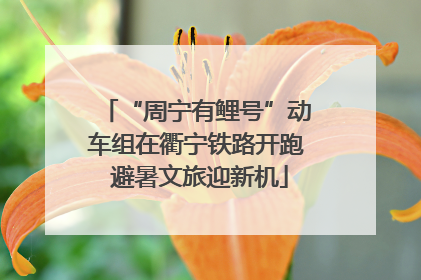 “周宁有鲤号”动车组在衢宁铁路开跑 避暑文旅迎新机