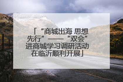 “商城出海 思想先行”——“双会”进商城学习调研活动在临沂顺利开展