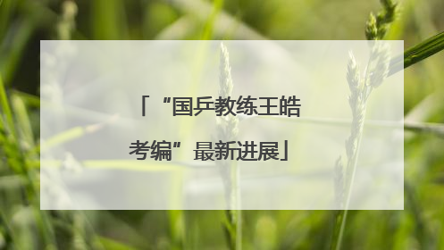 “国乒教练王皓考编”最新进展