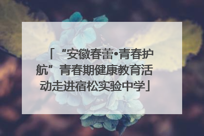 “安徽春蕾•青春护航”青春期健康教育活动走进宿松实验中学
