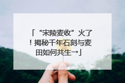 “宋陵麦收”火了！揭秘千年石刻与麦田如何共生→