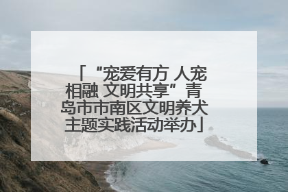 “宠爱有方 人宠相融 文明共享”青岛市市南区文明养犬主题实践活动举办