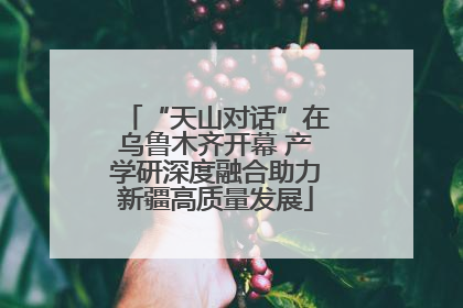“天山对话”在乌鲁木齐开幕 产学研深度融合助力新疆高质量发展