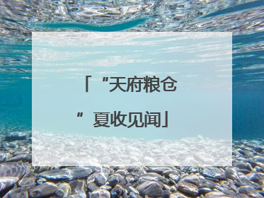 “天府粮仓”夏收见闻