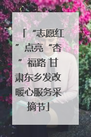“志愿红”点亮“杏”福路 甘肃东乡发改暖心服务采摘节