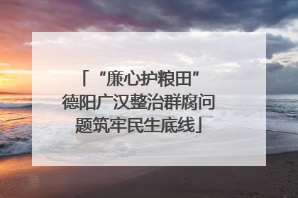 “廉心护粮田” 德阳广汉整治群腐问题筑牢民生底线