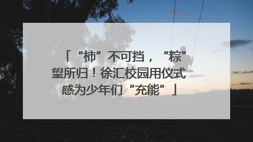 “柿”不可挡，“粽”望所归！徐汇校园用仪式感为少年们“充能”
