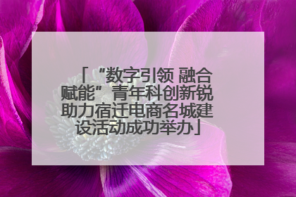 “数字引领 融合赋能”青年科创新锐助力宿迁电商名城建设活动成功举办