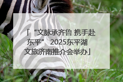 “文脉承齐鲁 携手赴东平” 2025东平湖文旅济南推介会举办