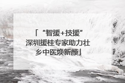 “智援+技援” 深圳援桂专家助力壮乡中医焕新颜