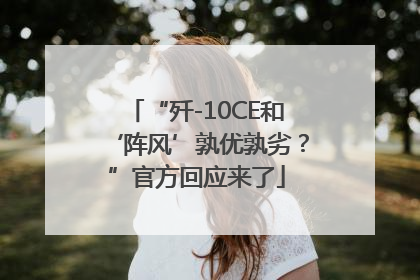 “歼-10CE和‘阵风’孰优孰劣？”官方回应来了