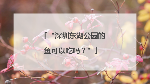 “深圳东湖公园的鱼可以吃吗？”