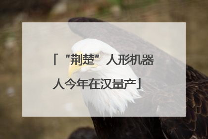 “荆楚”人形机器人今年在汉量产