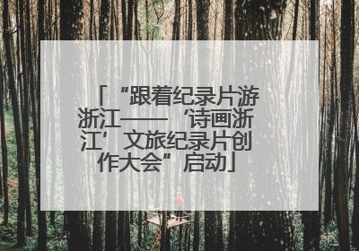“跟着纪录片游浙江——‘诗画浙江’文旅纪录片创作大会”启动