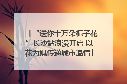 “送你十万朵栀子花”长沙站浪漫开启 以花为媒传递城市温情