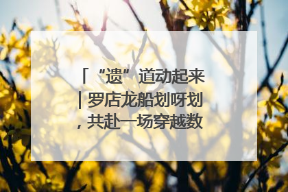 “遗”道动起来｜罗店龙船划呀划，共赴一场穿越数百年的端午之约