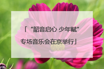 “韶音启心 少年赋”专场音乐会在京举行
